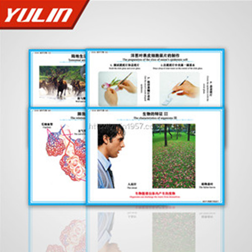 山东微生物及免疫教学挂图