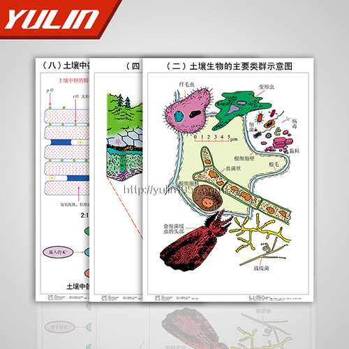 山东土壤肥料挂图