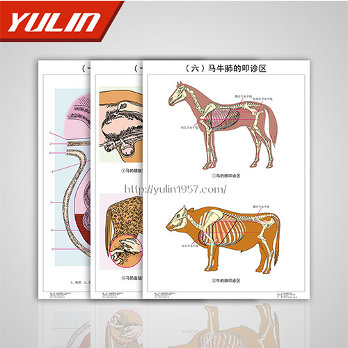山东职业教育教学挂图