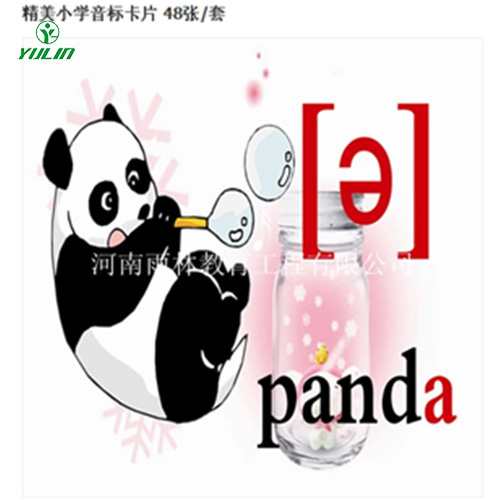 山东音标卡片